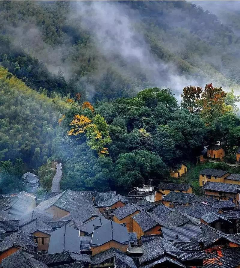 薄樱鬼：风之章
