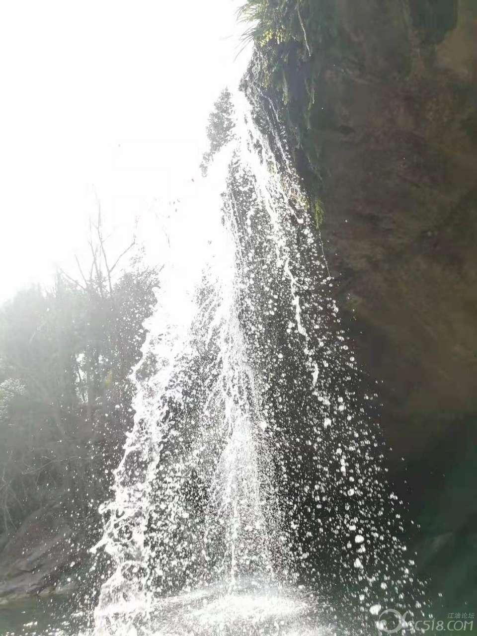 逃离森林边缘