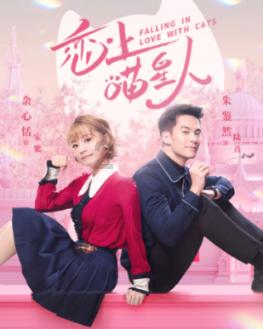 连线光球