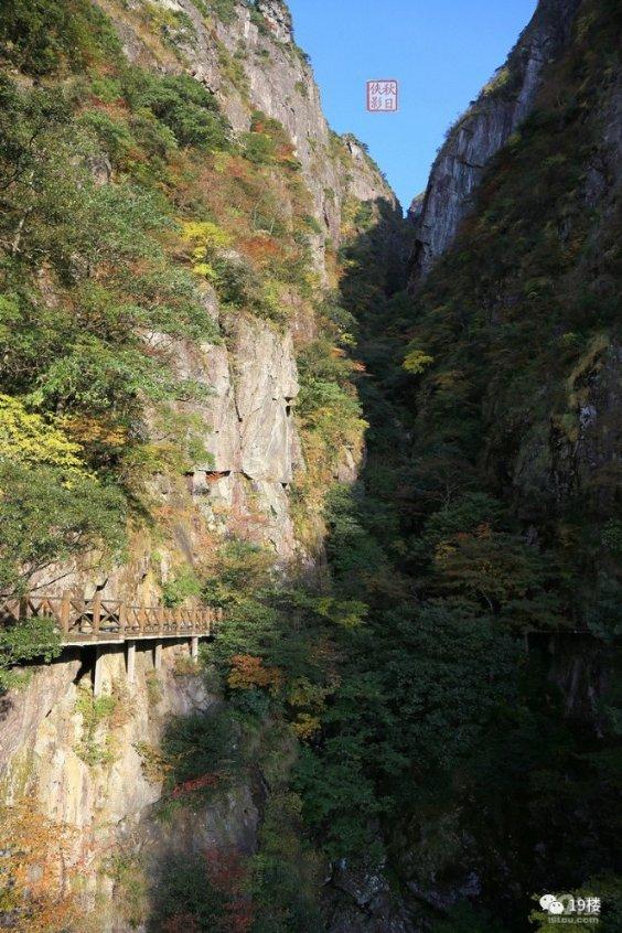 崩坏3
