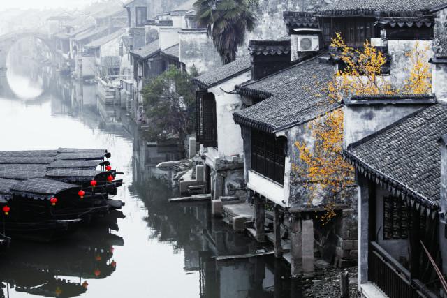 模拟山羊